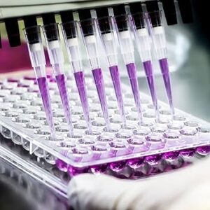 قیمت سرسمپلر